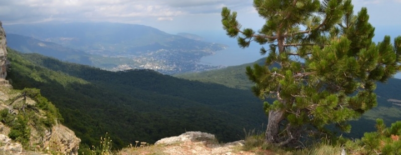 Власти Крыма рассматривают две площадки для создания горнолыжного курорта