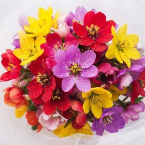 Как выбрать службу доставки цветов: на что обратить внимание